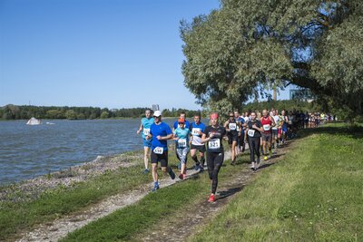 Vaid üks korda aastas, Ülemiste järve jooksupäeval, pääsevad jooksjad vahetult järve äärde jooksma