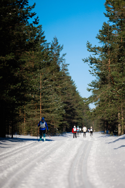 Foto: Tarmo Haud