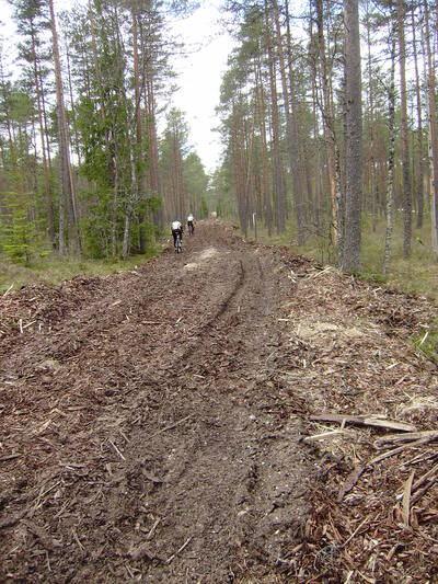 Lõik 18. Tallinna Rattamaratonilt