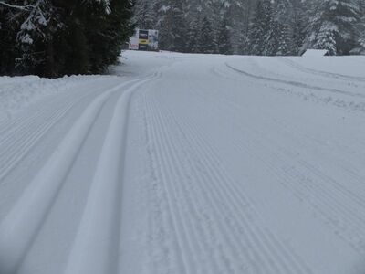 Kõrvemaa suusarajad on maratoniks valmis. Foto: Estoloppet