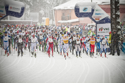 Foto: Tarmo Haud