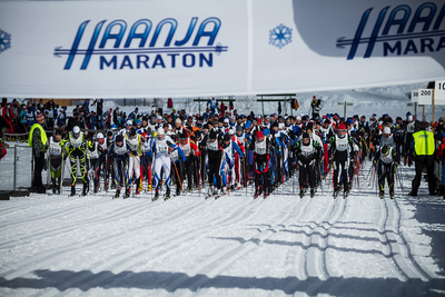 41. Haanja maraton (Foto: Tarmo Haud)