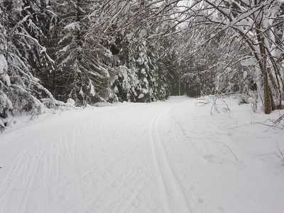 Kõrvemaa, Raivar Vaher