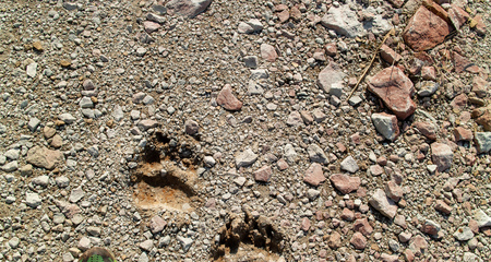 Laupäeval peetakse Alutaguse rattamaratoni avatud raja sõit