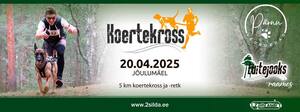 Luitejooksu koerakross