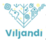 Viljandi linn